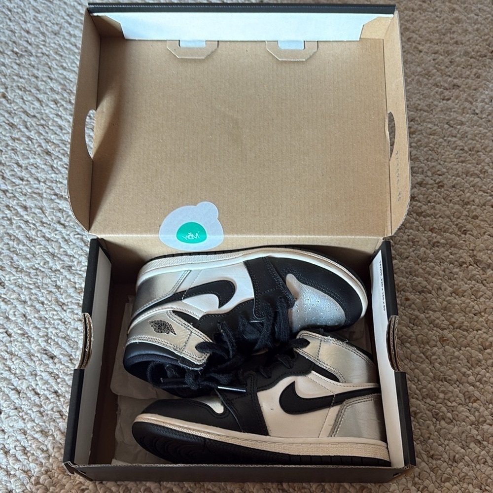 Air Jordan 1 Retro High OG 10C